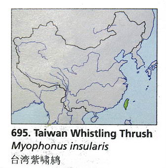 台湾紫啸鸫的地理分布图