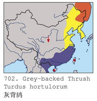 灰背鸫的地理分布图