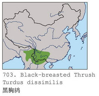 黑胸鸫的地理分布图
