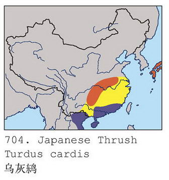 乌灰鸫的地理分布图