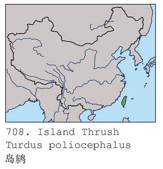 岛鸫的地理分布图