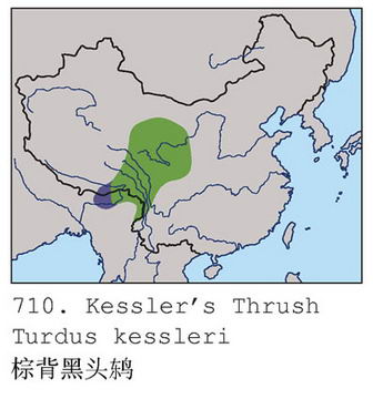 棕背黑头鸫的地理分布图