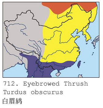 白眉鸫的地理分布图