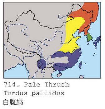 白腹鸫的地理分布图