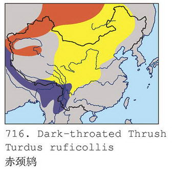 赤颈鸫的地理分布图