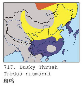 斑鸫的地理分布图