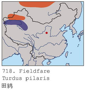 田鸫的地理分布图