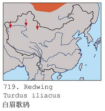 白眉歌鸫的地理分布图