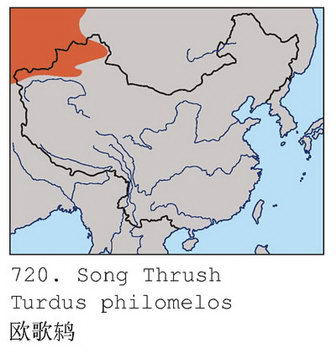 欧歌鸫的地理分布图