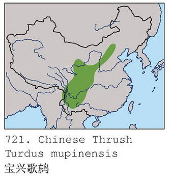 宝兴歌鸫的地理分布图