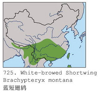 蓝短翅鸫的地理分布图