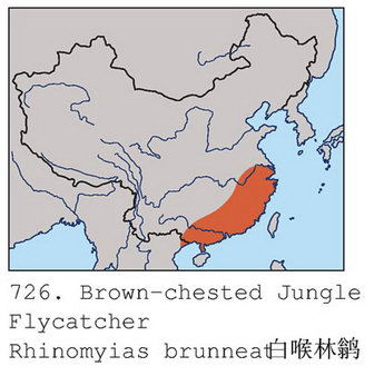 白喉林鹟的地理分布图