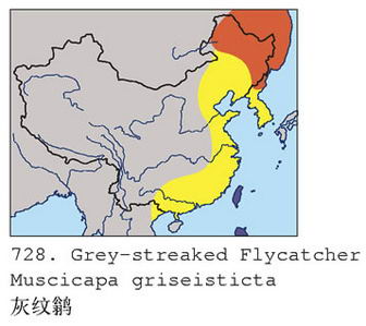 灰纹鹟的地理分布图