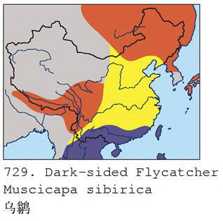 乌鹟的地理分布图