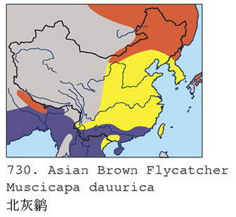 北灰鹟的地理分布图