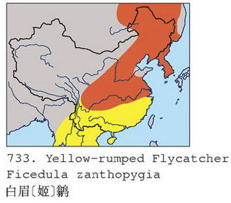 白眉[姬]鹟的地理分布图