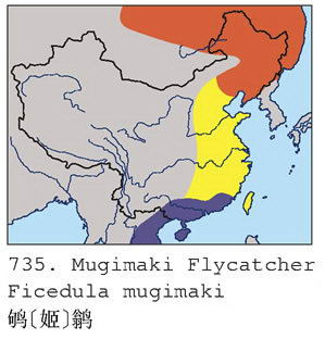 鸲[姬]鹟的地理分布图