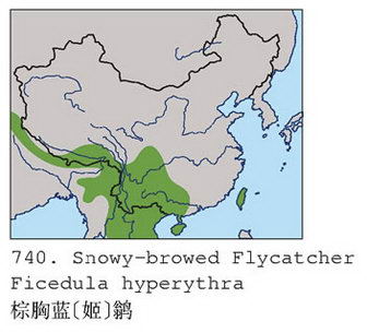 棕胸蓝[姬]鹟的地理分布图