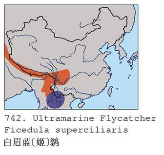 白眉蓝[姬]鹟的地理分布图