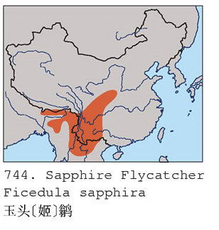 玉头[姬]鹟的地理分布图