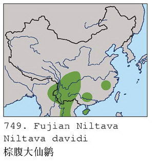 棕腹大仙鹟的地理分布图