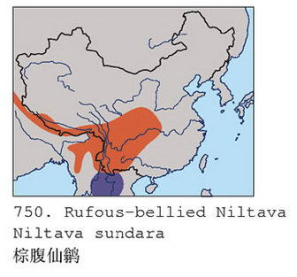 棕腹仙鹟的地理分布图