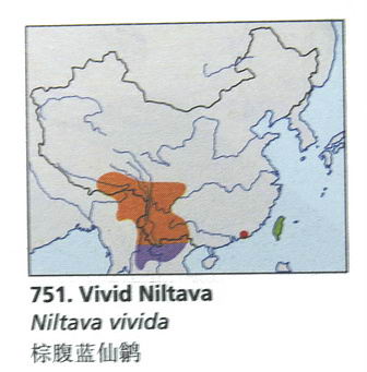 棕腹蓝仙鹟的地理分布图