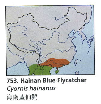 海南蓝仙鹟的地理分布图