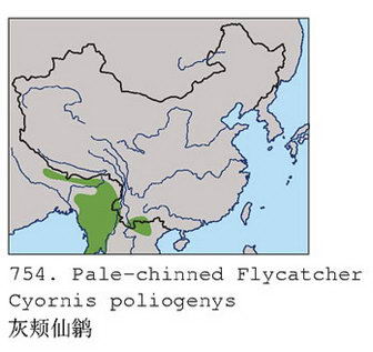 灰颊仙鹟的地理分布图