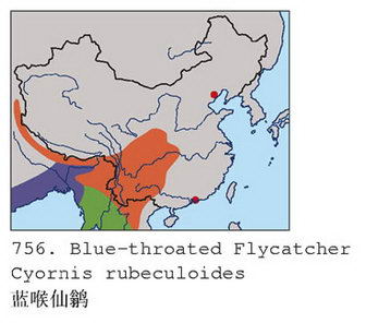 蓝喉仙鹟的地理分布图