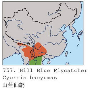 山蓝仙鹟的地理分布图