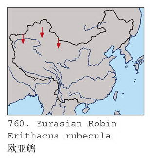 欧亚鸲的地理分布图