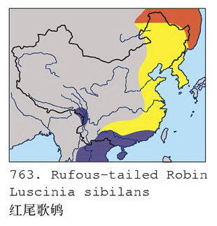 红尾歌鸲的地理分布图