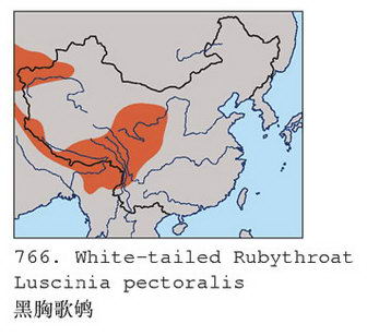 黑胸歌鸲的地理分布图