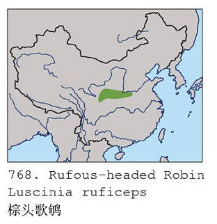 棕头歌鸲的地理分布图