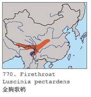 金胸歌鸲的地理分布图