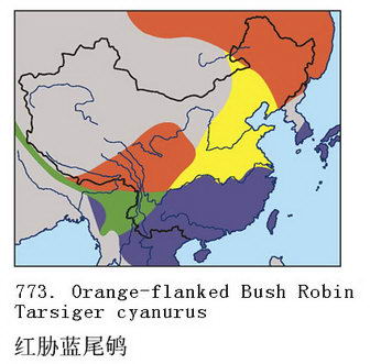 红胁蓝尾鸲的地理分布图