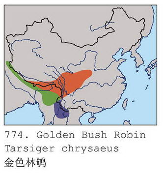 金色林鸲的地理分布图