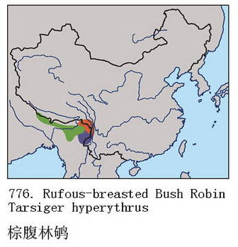 棕腹林鸲的地理分布图