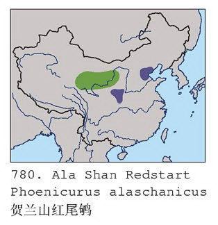贺兰山红尾鸲的地理分布图