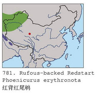 红背红尾鸲的地理分布图