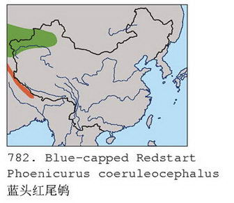 蓝头红尾鸲的地理分布图