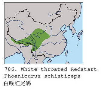 白喉红尾鸲的地理分布图