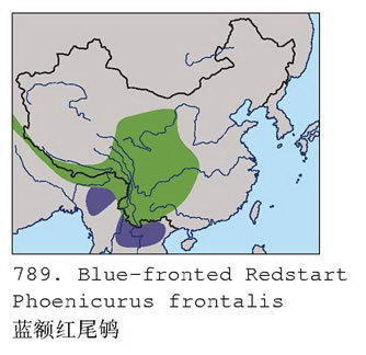 蓝额红尾鸲的地理分布图
