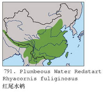 红尾水鸲的地理分布图