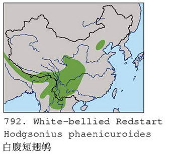 白腹短翅鸲的地理分布图