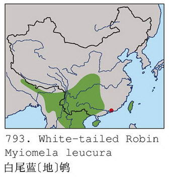 白尾蓝[地]鸲的地理分布图