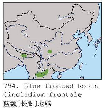 蓝额[长脚]地鸲的地理分布图