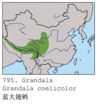 蓝大翅鸲的地理分布图