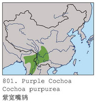 紫宽嘴鸫的地理分布图